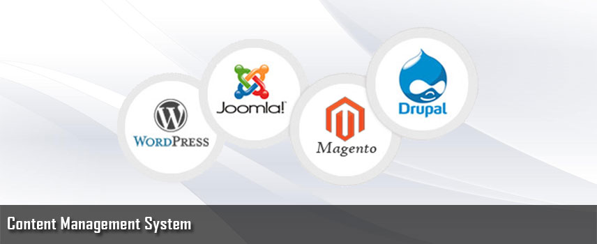 cms-development