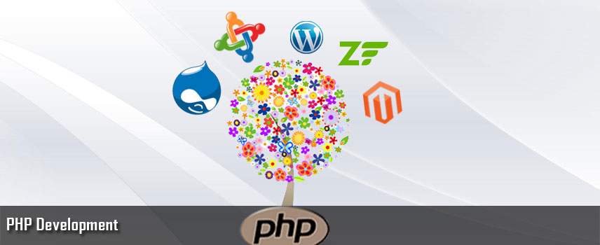 php development